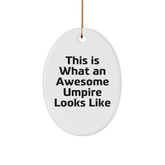 Umpire Gifts from Men - Funny Oval Ornament for Christmas Unique Gifts for Umpire Friends - Image 1